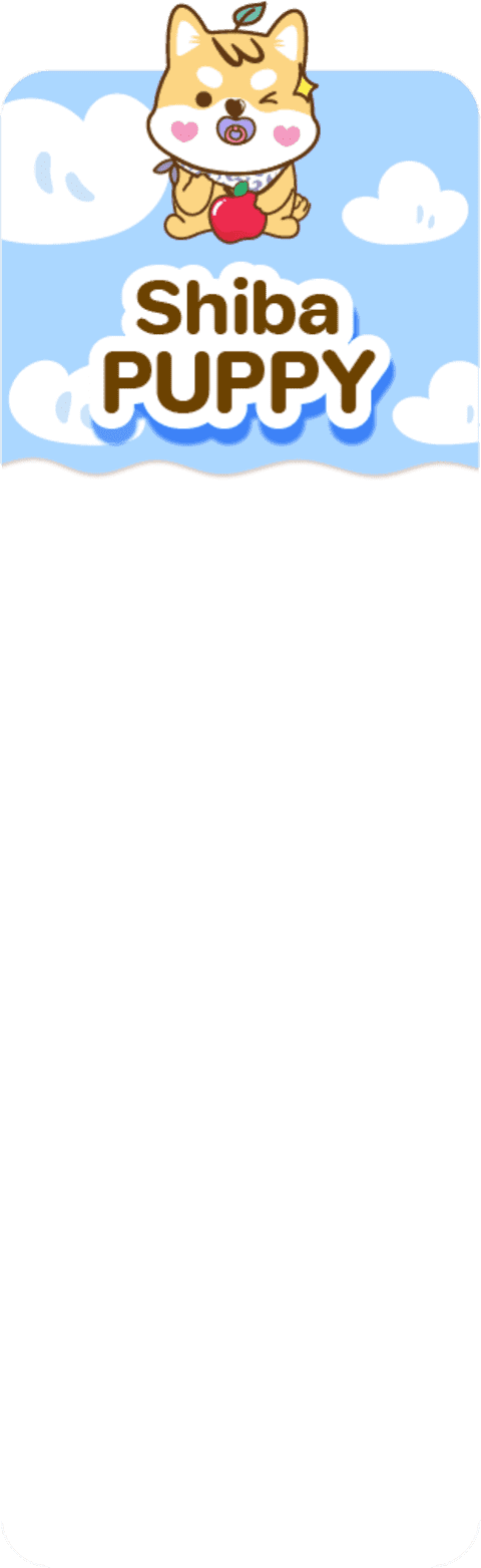 Shiba Puppy